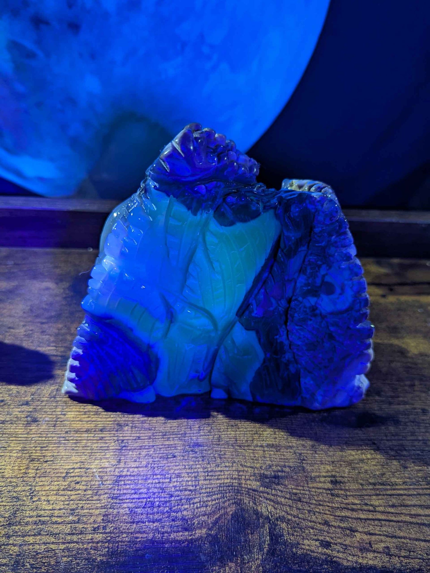 Volcano Agate Turtle