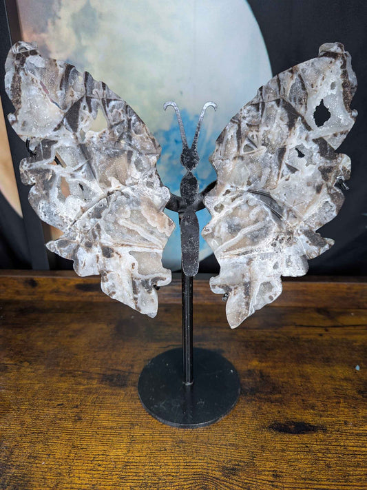 Sphalerite Butterfly Wings with Druzy