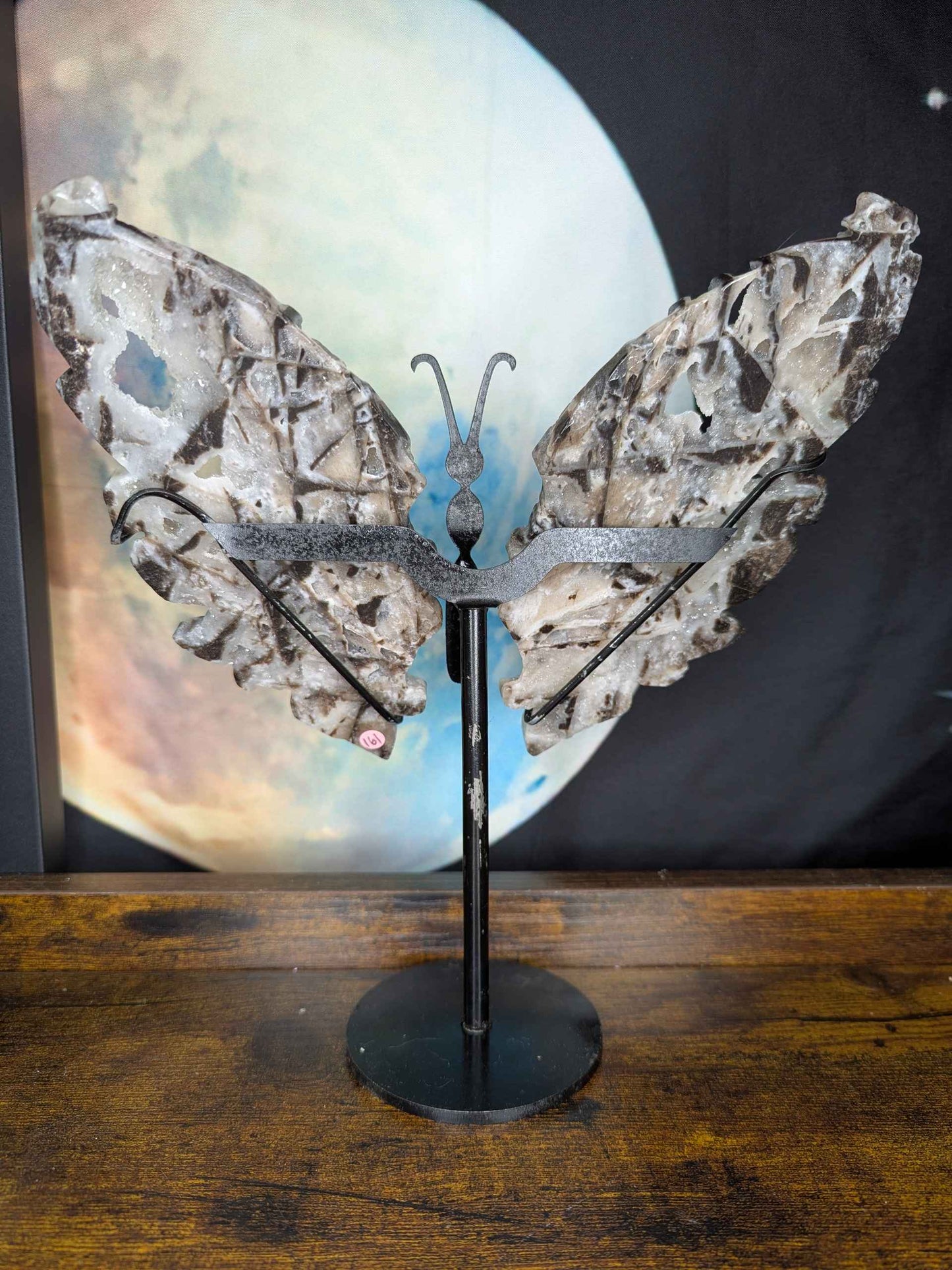 Sphalerite Butterfly Wings with Druzy
