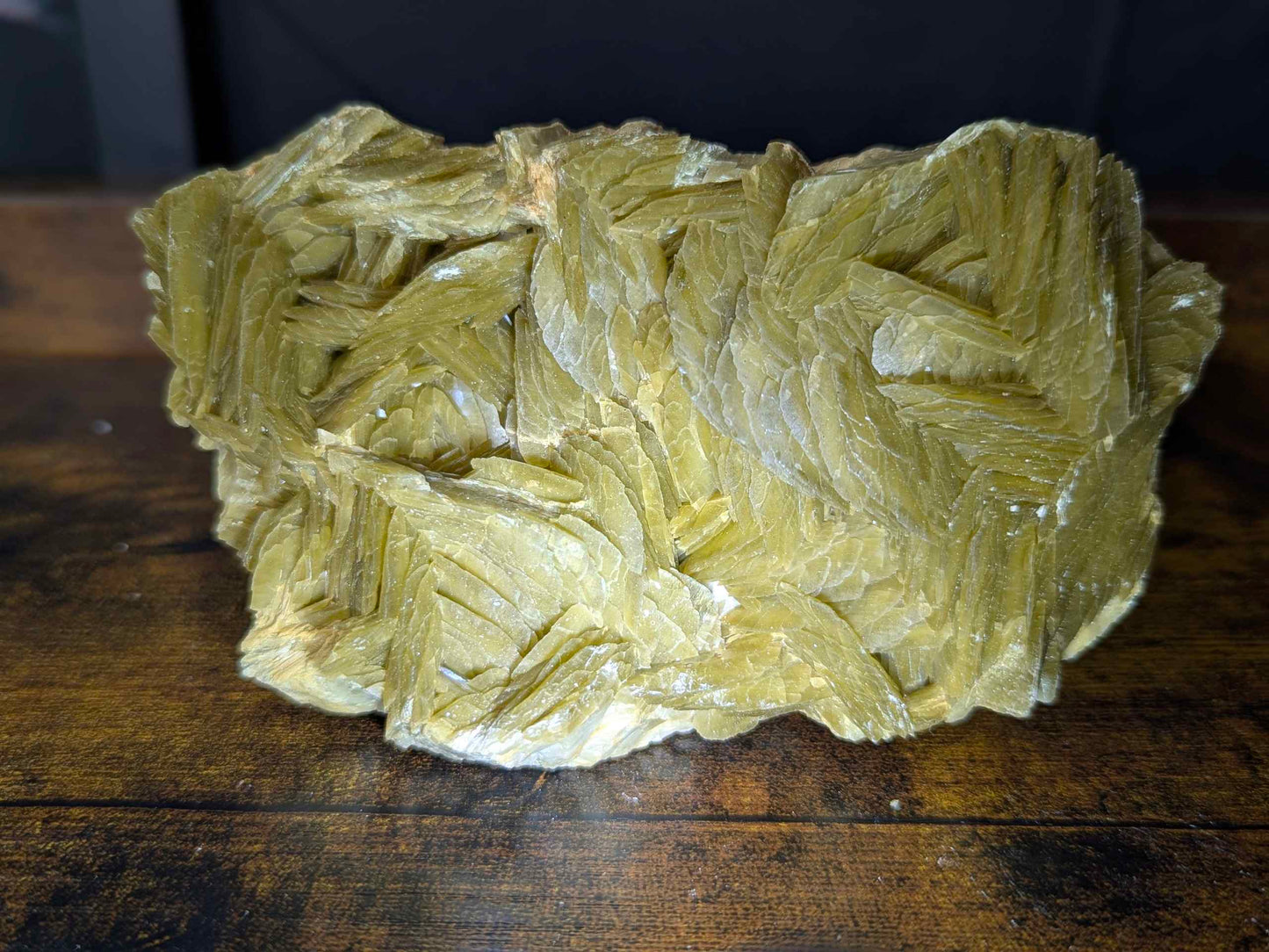 Golden Dragon Scales Siderite