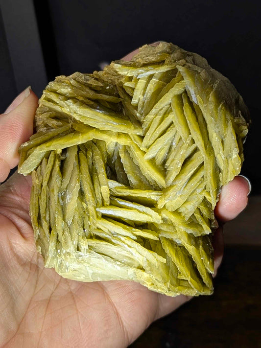 Golden Dragon Scales Siderite